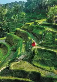 Coral Travel gazetka Strona 209