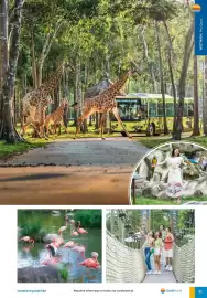 Coral Travel gazetka Strona 82