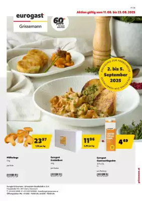 Eurogast Grissemann Flugblatt