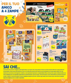 Volantino Panorama TiBi Pagina 8