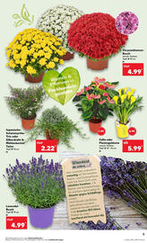 Kaufland Prospekt woche 32 Seite 5