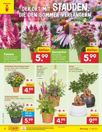 Netto Marken-Discount Prospekt woche 33 Seite 8