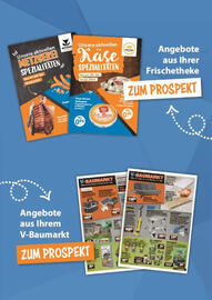 V Markt Prospekt woche 33 Seite 25