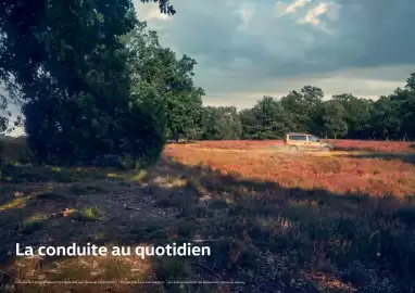 Catalogue Volkswagen page 20