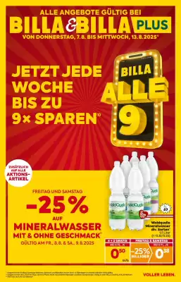 Billa Flugblatt