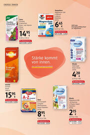 dm Flugblatt Seite 6