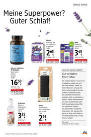 dm Flugblatt Seite 7