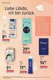 dm Flugblatt Seite 8