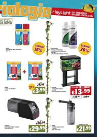 Volantino Zoomiguana Pagina 11
