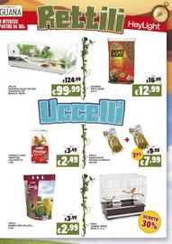 Volantino Zoomiguana Pagina 9