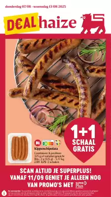 AD Delhaize folder (geldig t/m 13-08)