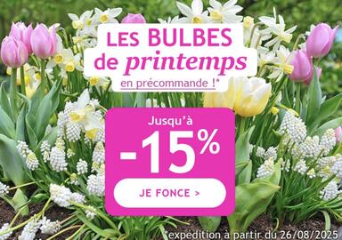 Catalogue Willemse France page 1