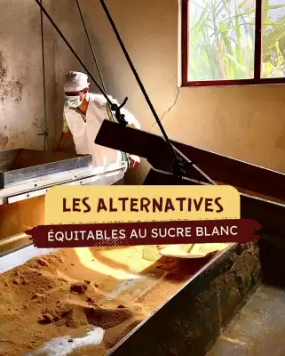 Catalogue Artisans du Monde (valable jusqu'au 24-08)