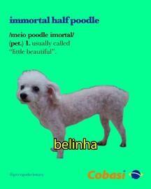 Catálogo Cobasi Página 1