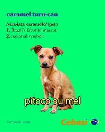 Catálogo Cobasi Página 3