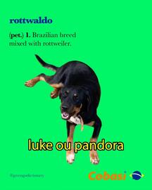Catálogo Cobasi Página 4