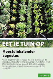 Intratuin folder week 33 Pagina 4
