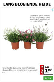 Intratuin folder week 33 Pagina 5