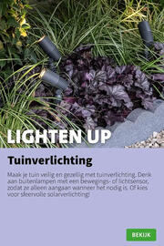 Intratuin folder week 33 Pagina 7