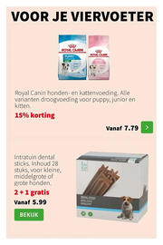 Intratuin folder week 33 Pagina 9