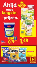 Lidl folder week 33 Pagina 13