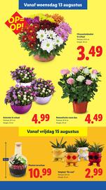 Lidl folder week 33 Pagina 17