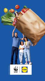 Lidl folder week 33 Pagina 37