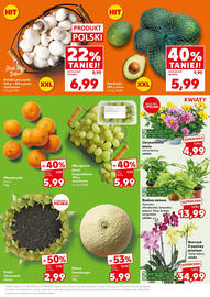 Kaufland gazetka Strona 23