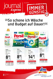 dm Flugblatt Seite 1