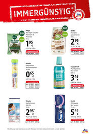 dm Flugblatt Seite 7