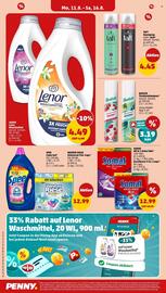 PENNY Prospekt woche 33 Seite 16