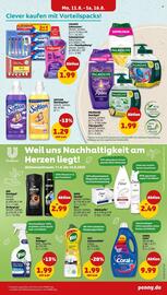 PENNY Prospekt woche 33 Seite 17