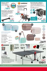 Selgros Prospekt woche 33 Seite 14