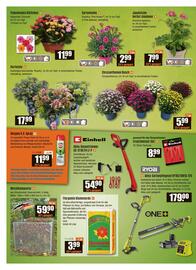 V Baumarkt Prospekt woche 33 Seite 2