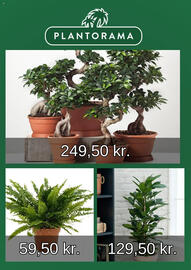 Plantorama tilbudsavis Side 2