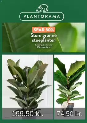 Plantorama tilbudsavis (gælder indtil 9-09)