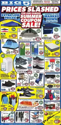 Big 5 Weekly Ad