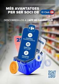 Folleto Carrefour Página 12