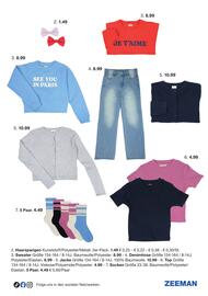 Zeeman Flugblatt Seite 19