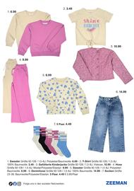 Zeeman Flugblatt Seite 7