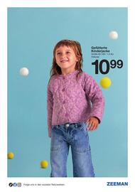 Zeeman Flugblatt Seite 9