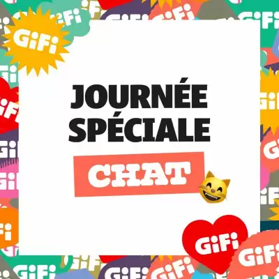 Catalogue Gifi (valable jusqu'au 15-08)