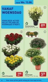 ALDI folder week 33 Pagina 28