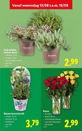 Lidl folder week 33 Pagina 27