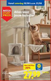Lidl folder week 33 Pagina 41