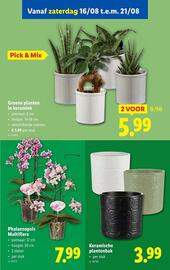Lidl folder week 33 Pagina 51