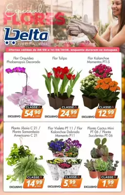 Catálogo Delta Supermercados