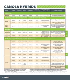 Co-op flyer Page 2