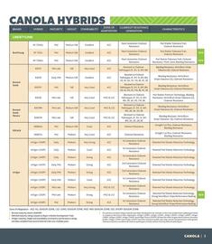 Co-op flyer Page 3