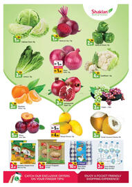 Shaklan catalogue Page 2
